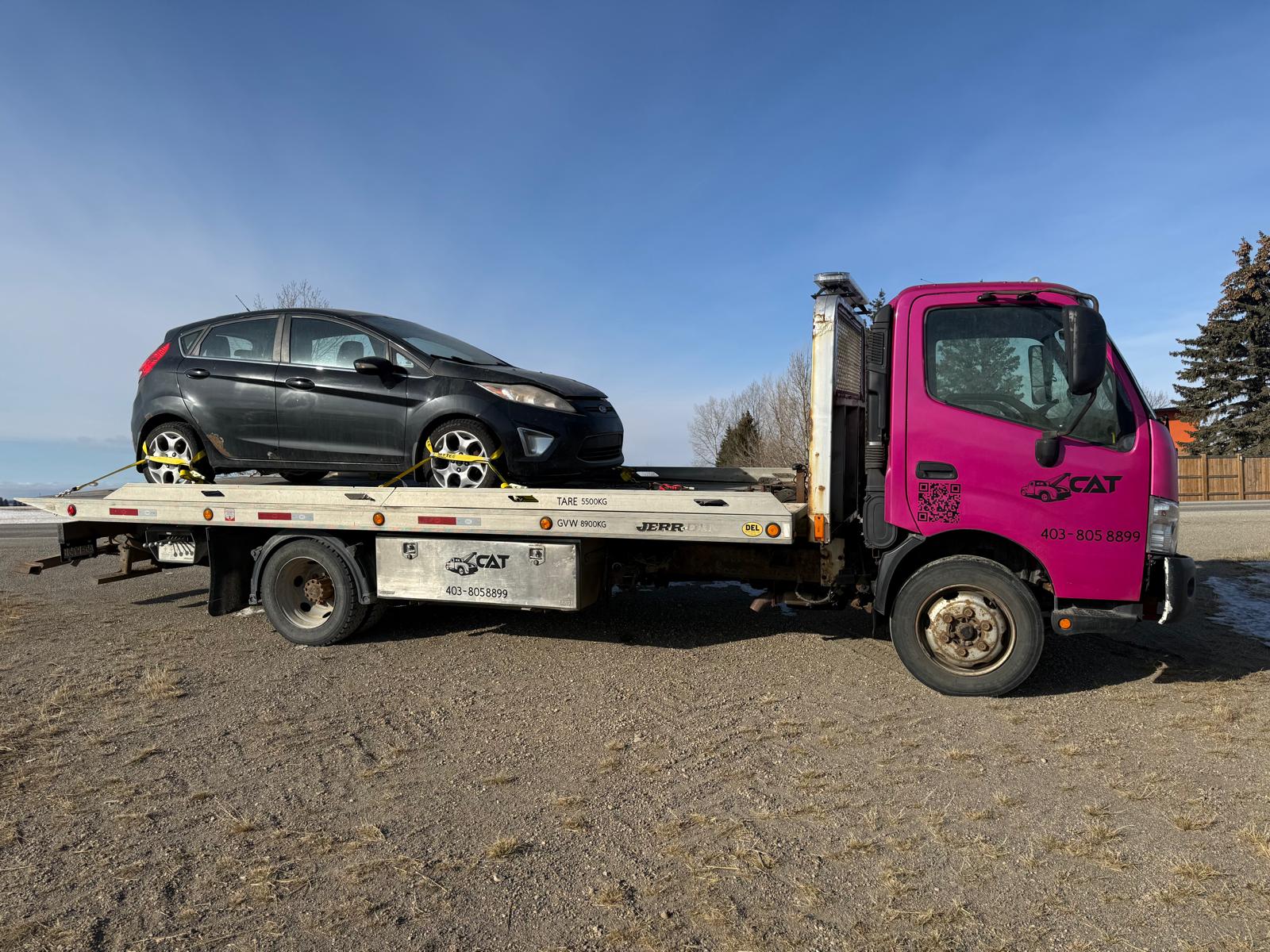 WhatsApp Image 2026-02-16 at 11.06.10 PM